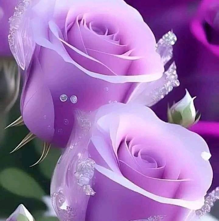 علي عبدالرحمن